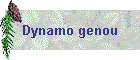 Dynamo genou